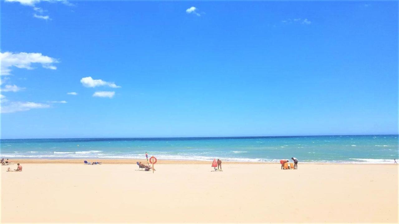Tropical Playa Z Widokiem Na Morze, 400 M Do Plazy La Mata Beach Торрев'єха Екстер'єр фото